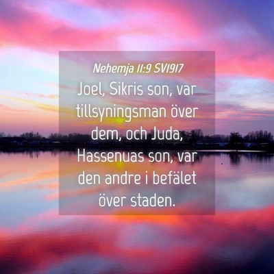 Picture 04 - Nehemja 11:9 SV1917 - Joel, Sikris son, var tillsyningsman över dem, - Bible Verse Picture