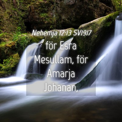 Picture 04 - Nehemja 12:13 SV1917 - för Esra Mesullam, för Amarja - Bible Verse Picture