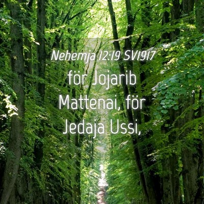Picture 04 - Nehemja 12:19 SV1917 - för Jojarib Mattenai, för Jedaja - Bible Verse Picture