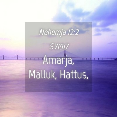 Picture 04 - Nehemja 12:2 SV1917 - Amarja, Malluk, - Bible Verse Picture