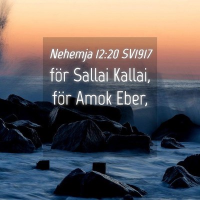 Picture 04 - Nehemja 12:20 SV1917 - för Sallai Kallai, för Amok - Bible Verse Picture