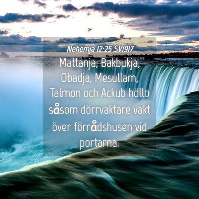 Picture 04 - Nehemja 12:25 SV1917 - Mattanja, Bakbukja, Obadja, Mesullam, Talmon och - Bible Verse Picture