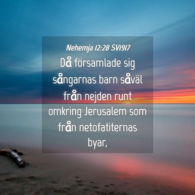 Picture 04 - Nehemja 12:28 SV1917 - Då församlade sig sångarnas barn såväl från - Bible Verse Picture
