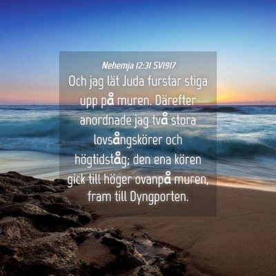 Picture 04 - Nehemja 12:31 SV1917 - Och jag lät Juda furstar stiga upp på muren. - Bible Verse Picture