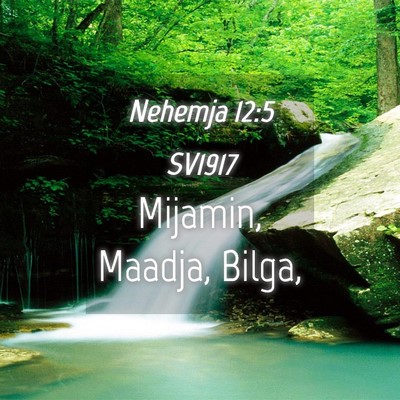Picture 04 - Nehemja 12:5 SV1917 - Mijamin, Maadja, - Bible Verse Picture