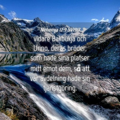 Picture 04 - Nehemja 12:9 SV1917 - vidare Bakbukja och Unno, deras bröder, som hade - Bible Verse Picture