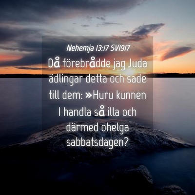 Picture 04 - Nehemja 13:17 SV1917 - Då förebrådde jag Juda ädlingar detta och - Bible Verse Picture