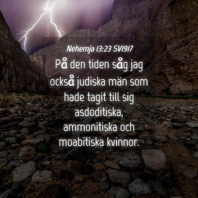 Picture 04 - Nehemja 13:23 SV1917 - På den tiden såg jag också judiska män som - Bible Verse Picture