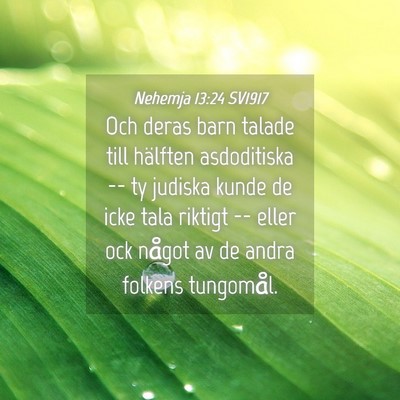 Picture 04 - Nehemja 13:24 SV1917 - Och deras barn talade till hälften asdoditiska - Bible Verse Picture
