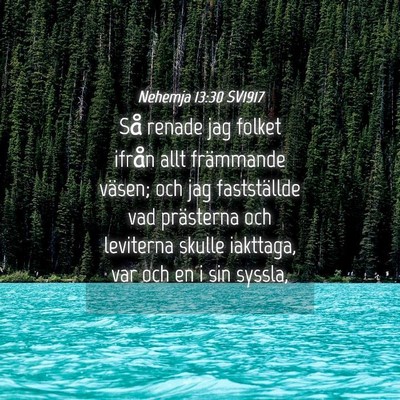 Picture 04 - Nehemja 13:30 SV1917 - Så renade jag folket ifrån allt främmande - Bible Verse Picture