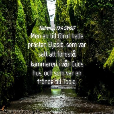 Picture 04 - Nehemja 13:4 SV1917 - Men en tid förut hade prästen Eljasib, som var - Bible Verse Picture