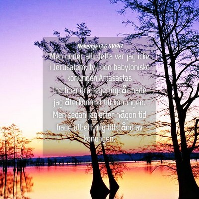 Picture 04 - Nehemja 13:6 SV1917 - Men under allt detta var jag icke i Jerusalem; ty - Bible Verse Picture