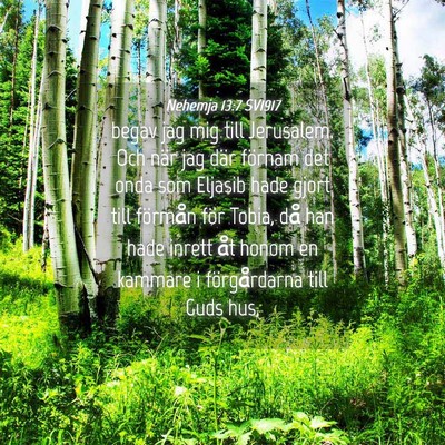 Picture 04 - Nehemja 13:7 SV1917 - begav jag mig till Jerusalem. Och när jag där - Bible Verse Picture