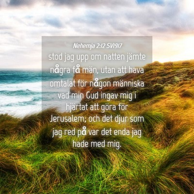Picture 04 - Nehemja 2:12 SV1917 - stod jag upp om natten jämte några få män, - Bible Verse Picture