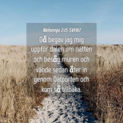 Picture 04 - Nehemja 2:15 SV1917 - Då begav jag mig uppför dalen om natten och - Bible Verse Picture