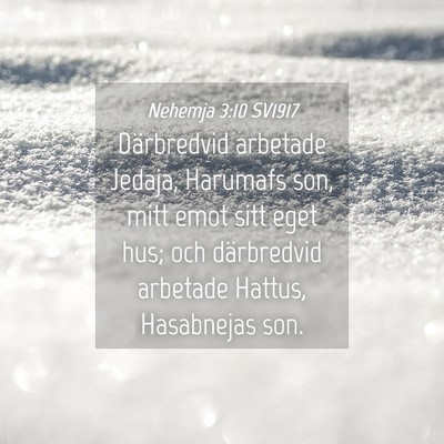 Picture 04 - Nehemja 3:10 SV1917 - Därbredvid arbetade Jedaja, Harumafs son, mitt - Bible Verse Picture