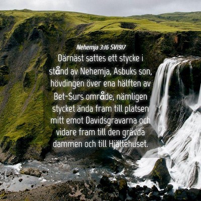 Picture 04 - Nehemja 3:16 SV1917 - Därnäst sattes ett stycke i stånd av Nehemja, - Bible Verse Picture