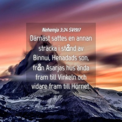 Picture 04 - Nehemja 3:24 SV1917 - Därnäst sattes en annan sträcka i stånd av - Bible Verse Picture