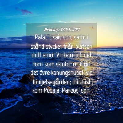 Picture 04 - Nehemja 3:25 SV1917 - Palal, Usais son, satte i stånd stycket från - Bible Verse Picture