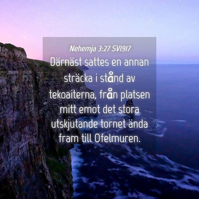 Picture 04 - Nehemja 3:27 SV1917 - Därnäst sattes en annan sträcka i stånd av - Bible Verse Picture