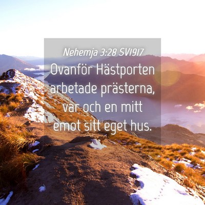 Picture 04 - Nehemja 3:28 SV1917 - Ovanför Hästporten arbetade prästerna, var och - Bible Verse Picture