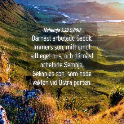 Picture 04 - Nehemja 3:29 SV1917 - Därnäst arbetade Sadok, Immers son, mitt emot - Bible Verse Picture