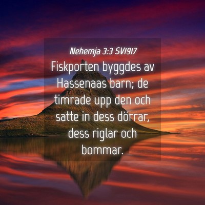 Picture 04 - Nehemja 3:3 SV1917 - Fiskporten byggdes av Hassenaas barn; de timrade - Bible Verse Picture