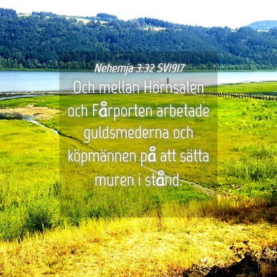 Picture 04 - Nehemja 3:32 SV1917 - Och mellan Hörnsalen och Fårporten arbetade - Bible Verse Picture