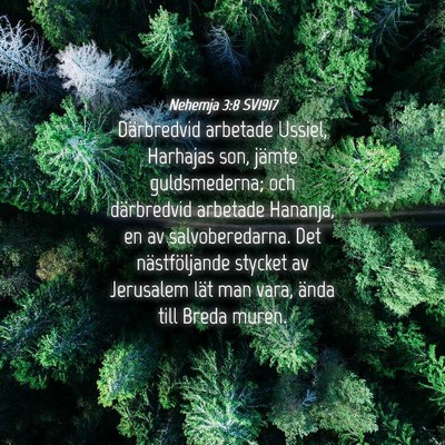 Picture 04 - Nehemja 3:8 SV1917 - Därbredvid arbetade Ussiel, Harhajas son, jämte - Bible Verse Picture