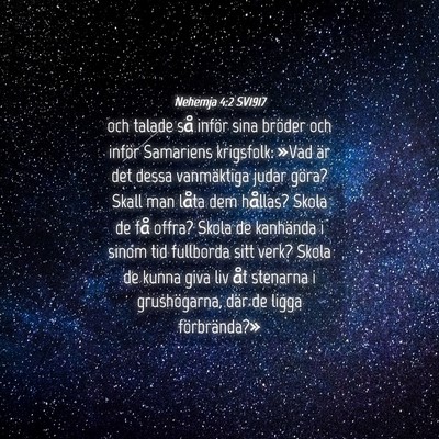 Picture 04 - Nehemja 4:2 SV1917 - och talade så inför sina bröder och inför - Bible Verse Picture