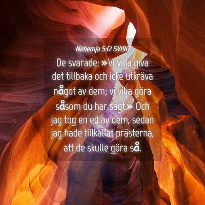 Picture 04 - Nehemja 5:12 SV1917 - De svarade: »Vi vilja giva det tillbaka och icke - Bible Verse Picture