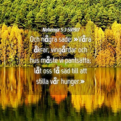 Picture 04 - Nehemja 5:3 SV1917 - Och några sade: »Våra åkrar, vingårdar och - Bible Verse Picture