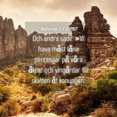 Picture 04 - Nehemja 5:4 SV1917 - Och andra sade: »Vi hava måst låna penningar - Bible Verse Picture