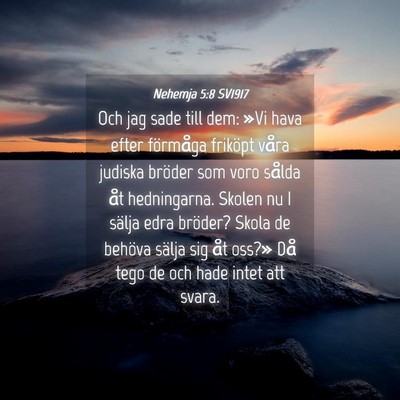 Picture 04 - Nehemja 5:8 SV1917 - Och jag sade till dem: »Vi hava efter förmåga - Bible Verse Picture