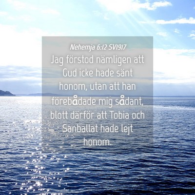Picture 04 - Nehemja 6:12 SV1917 - Jag förstod nämligen att Gud icke hade sänt - Bible Verse Picture