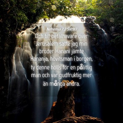 Picture 04 - Nehemja 7:2 SV1917 - Och till befälhavare över Jerusalem satte jag - Bible Verse Picture