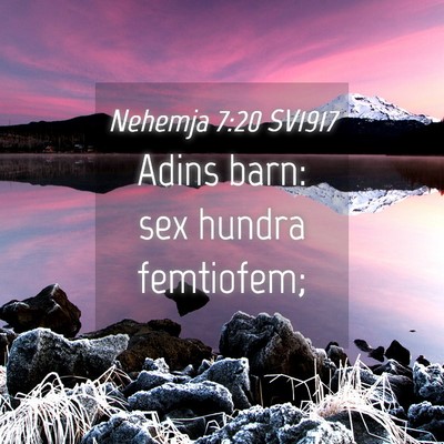 Picture 04 - Nehemja 7:20 SV1917 - Adins barn: sex hundra - Bible Verse Picture