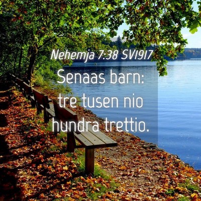 Picture 04 - Nehemja 7:38 SV1917 - Senaas barn: tre tusen nio hundra - Bible Verse Picture