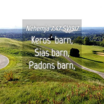 Picture 04 - Nehemja 7:47 SV1917 - Keros' barn, Sias barn, Padons - Bible Verse Picture