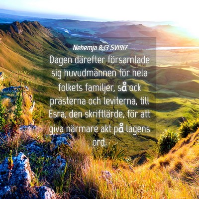 Picture 04 - Nehemja 8:13 SV1917 - Dagen därefter församlade sig huvudmännen för - Bible Verse Picture