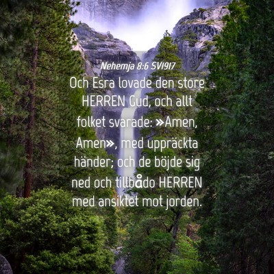 Picture 04 - Nehemja 8:6 SV1917 - Och Esra lovade den store HERREN Gud, och allt - Bible Verse Picture