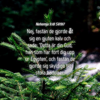 Picture 04 - Nehemja 9:18 SV1917 - Nej, fastän de gjorde åt sig en gjuten kalv och - Bible Verse Picture