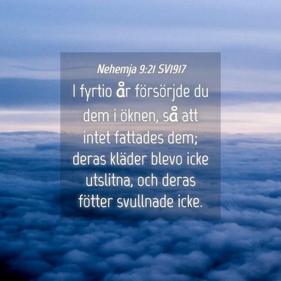 Picture 04 - Nehemja 9:21 SV1917 - I fyrtio år försörjde du dem i öknen, så att - Bible Verse Picture