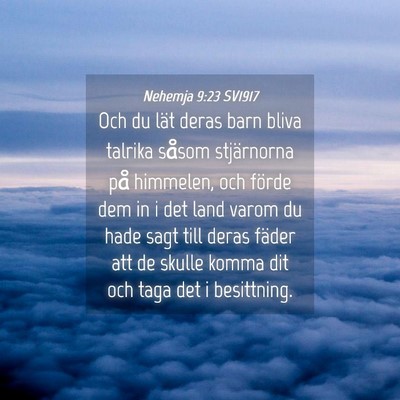 Picture 04 - Nehemja 9:23 SV1917 - Och du lät deras barn bliva talrika såsom - Bible Verse Picture
