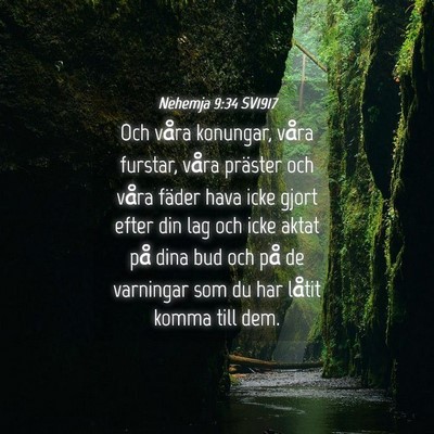 Picture 04 - Nehemja 9:34 SV1917 - Och våra konungar, våra furstar, våra präster - Bible Verse Picture