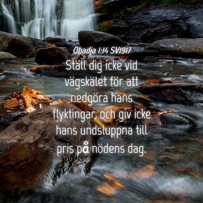 Picture 04 - Obadja 1:14 SV1917 - Ställ dig icke vid vägskälet för att nedgöra - Bible Verse Picture