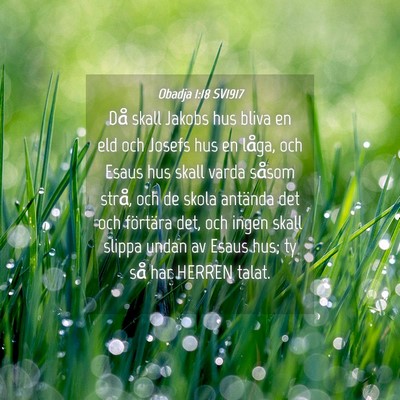 Picture 04 - Obadja 1:18 SV1917 - Då skall Jakobs hus bliva en eld och Josefs hus - Bible Verse Picture