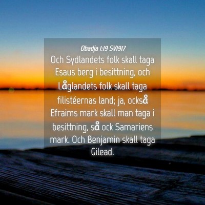 Picture 04 - Obadja 1:19 SV1917 - Och Sydlandets folk skall taga Esaus berg i - Bible Verse Picture