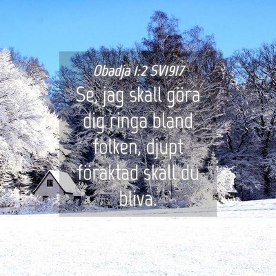 Picture 04 - Obadja 1:2 SV1917 - Se, jag skall göra dig ringa bland folken, djupt - Bible Verse Picture