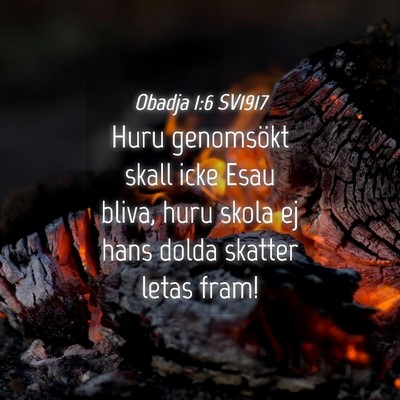 Picture 04 - Obadja 1:6 SV1917 - Huru genomsökt skall icke Esau bliva, huru skola - Bible Verse Picture